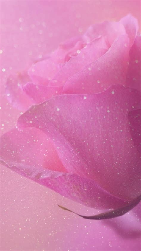 Free Download Rose Sparkle Glitter Wallpaper Background