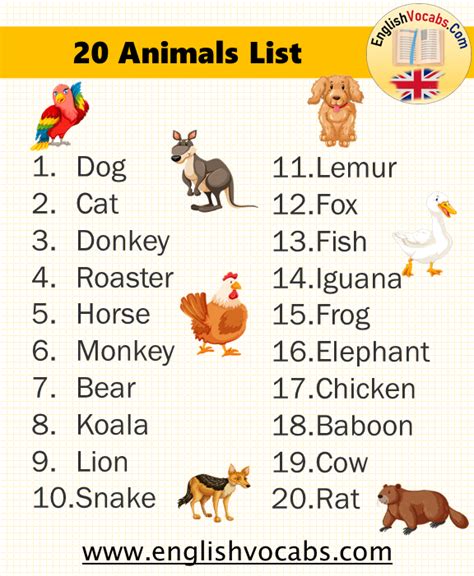 20 Common Animals List English Vocabs