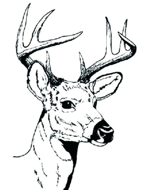 All rights belong to their respective owners. Deer Hunting Coloring Pages at GetColorings.com | Free printable colorings pages to print and color