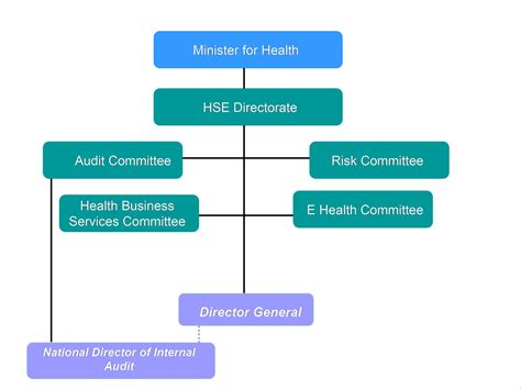 The national audit department and the macc will no longer be under the prime minister's department's purview, but parliament's instead to ensure that the pm and the government will not have the power to meddle in these bodies. Internal Audit Division - HSE.ie