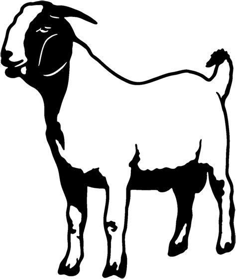 Image Result For Boer Goat Silhouette Clip Art Boer Goats Goat