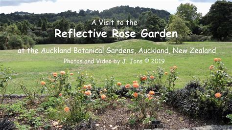 A Visit To The Reflective Rose Garden At The Auckland Botanical