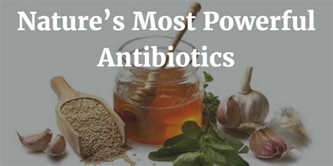 Natures 11 Most Powerful Antibiotics