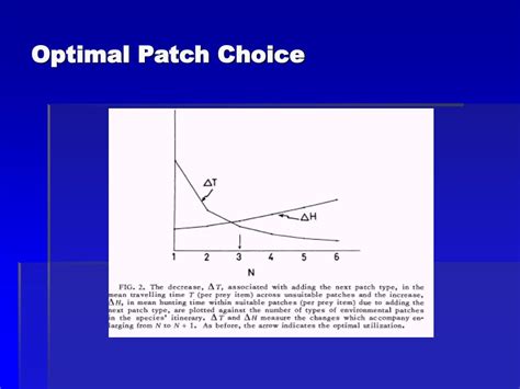 Ppt Optimal Patch Choice Powerpoint Presentation Free Download Id 1757614