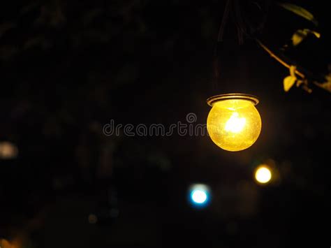 Clear Yellow Light Bulb Hanging In Dark Night Tree Stock Photo Image