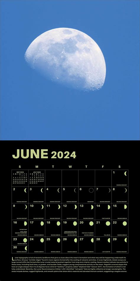 2024 Lunar Calendar Poster Contested Ilyse Leeanne