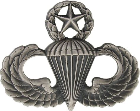 Us Army Airborne Master Parachutist Paratrooper Jump Wings Pin Oxidized Badge Clothing