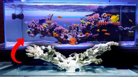 Shallow Reef Tank Floating Reef Aquarium Setup Seafriendlyreef