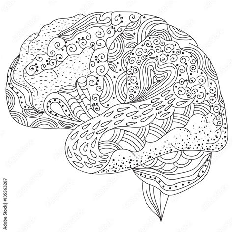 Human Brain Doodle Decorative Curves Creative Mind Learning And