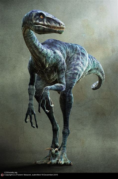 Raptor, in general, any bird of prey; 178 best Animal / extinct images on Pinterest | Dinosaurs ...