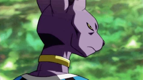 In dragon ball xenoverse 2, while sparring with whis alongside the future warrior, whis manages to playfully draw his symbol on beerus' forehead without him noticing due to whis' superior speed, causing beerus to leave the battle in order to wash it off quickly as whis had used a permanent marker. Beerus | Anime dragon ball, Beerus, Dragon ball super art