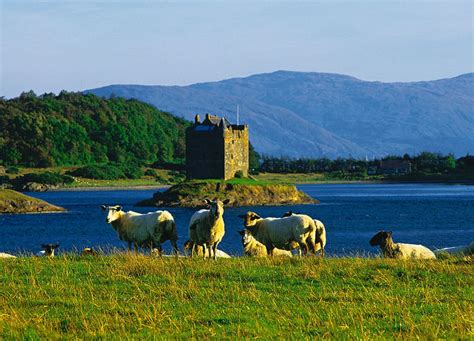 Tripadvisor har 5 389 020 recensioner och artiklar om skottland resor av turism. Rundresor - Skottland - whisky, slott och Hebrider ...