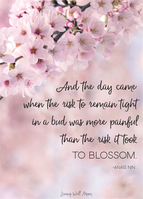 Beautiful Quotes About Cherry Blossoms ShortQuotes Cc