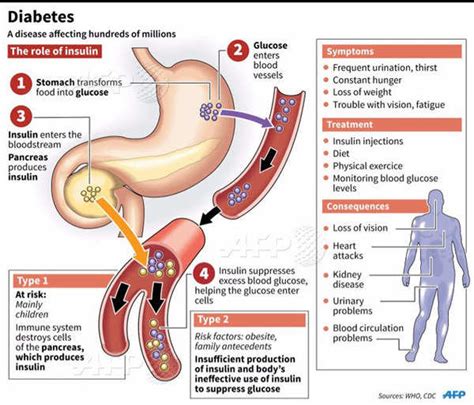 World Is Facing Unrelenting March Of Diabetes Who Times Of India