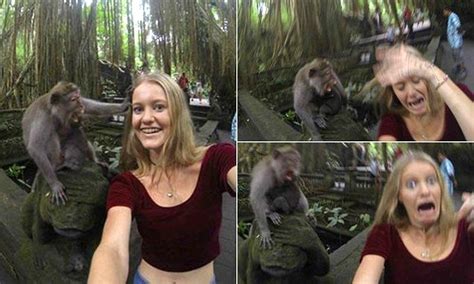 If you love engaging and forming a tight bond with animals. Monkey grabs tourist's hair while taking selfie in Bali ...