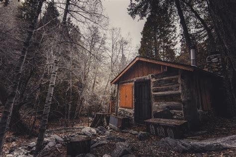 Abandoned Cabin Pictures Photos And Images For Facebook Tumblr