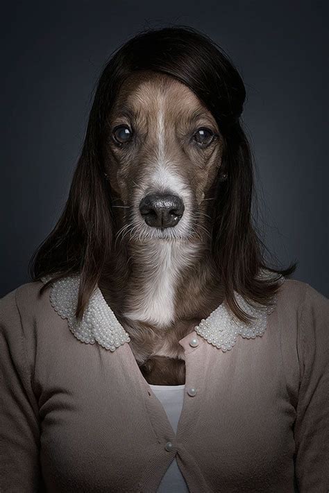 Funny Portraits Of Dogs Dressed Like Humans Dog Dresses Modern