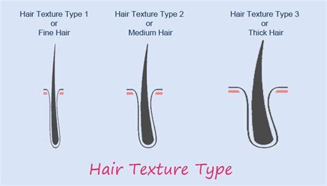 Human Hair Texture Overview Texture Of Hair Hair