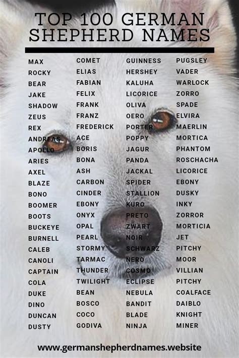 Take your time to get to know your new dog. Top 100 german shepherd names, for more names visit our ...