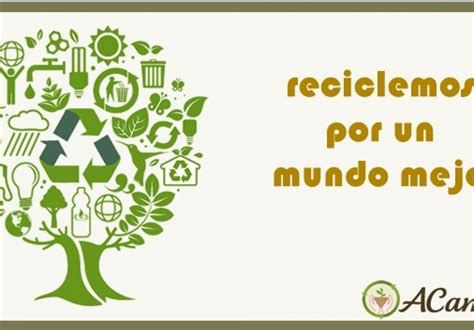 El Reciclaje Y Su Importancia