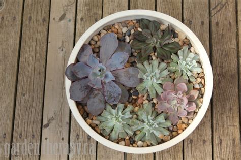 Make a modern wood planter for succulents in a few simple steps with homemade modern. Modern Succulent Planter: Modernica Case Study - Garden ...