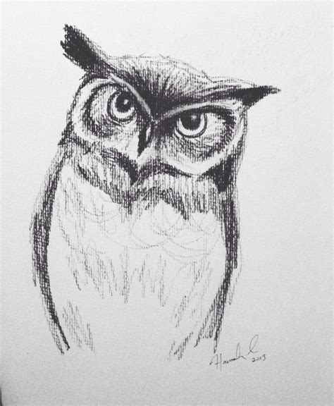 A Drawing Of An Owl With Big Eyes