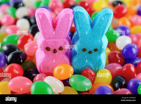 Easter Candy Two Marshmallow Bunnies In A Bed Of Jelly Beans Close Up