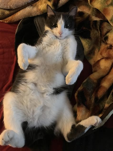 Leakedbb leaks only fans mega katrina marie aka @carrottcake aka carrot cake onlyfans. Carrot_Cake Onlyfans Leaked : Bhad Bhabie Rapper Danielle ...