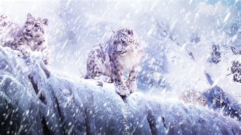 Aesthetic Snow Wallpapers Top Free Aesthetic Snow Backgrounds