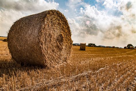 Straw Bales Free Stock Photo Public Domain Pictures