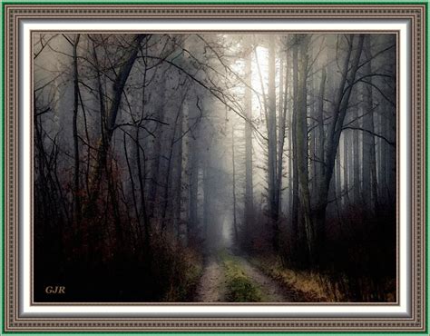 Autumn Forest Path Winterton Park L A S With Digital Frame Digital