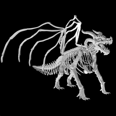 3d Dragon Skeleton Turbosquid 1888789
