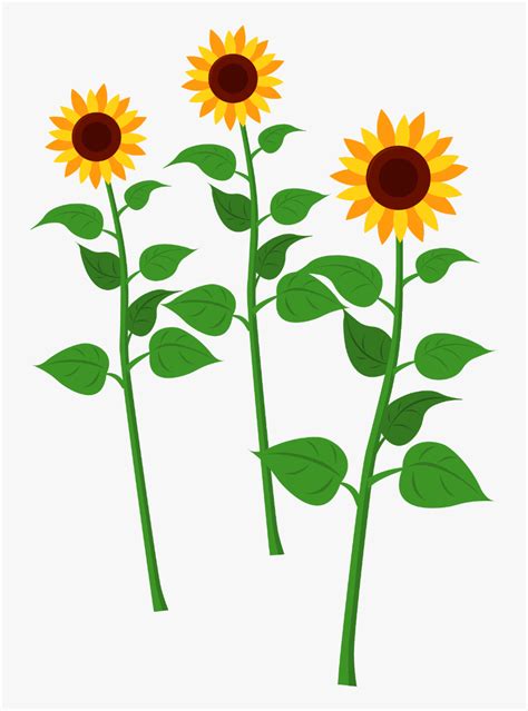 Sunflower Pictures Clip Art Best Flower Site