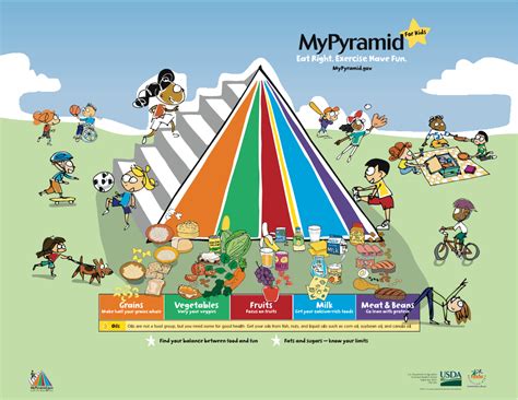 We did not find results for: Food Pyramid 2020 Basics & Money's Influence on USDA ...