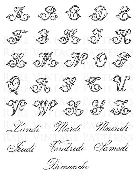Vectors Different Calligraphy Alphabets More Salvabrani