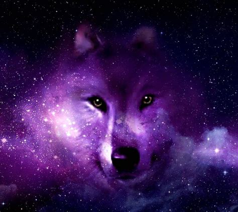 100 Galaxy Wolf Wallpapers