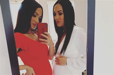 Pregnant Twins Nikki And Brie Bella Announce Resuming Total Bellas Shoot