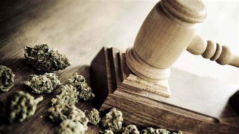 The Awesome History Of Marijuana Legalization In California
