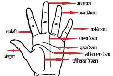 Hastrekha Gyan Palmistry Reading Palm Reading Jyotish Astrology