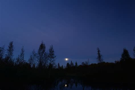 Moonlit Autumn Night In A Forest Swamp By Yarvin Ephotozine