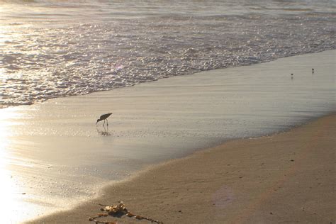 Zuma Beach Malibu Califonia Paul Summers Flickr