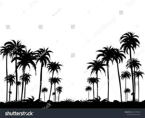 Vector Silhouettes Coconut Trees Isolated On Stock Vector Royalty Free