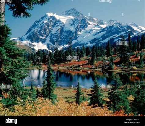 Picture Lake And Mount Shuksan Washington With Fall Color The Mountain