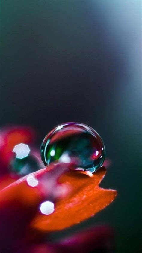 Water Droplets Wallpapers Wallpaper Cave