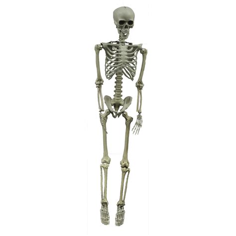 Skeleton Hanging 60in