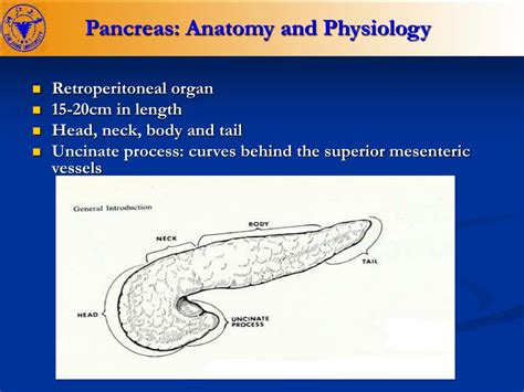 Ppt Pancreatic Diseases Powerpoint Presentation Free Download Id