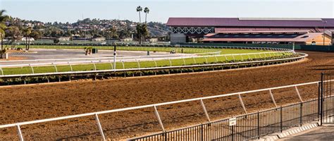 The manual gives a short explanation of each tuning factor but it would be nice if there were detailed instructions on how to accomplish tunings. Horse Racing Track and Ground Types | Turf, Dirt and ...