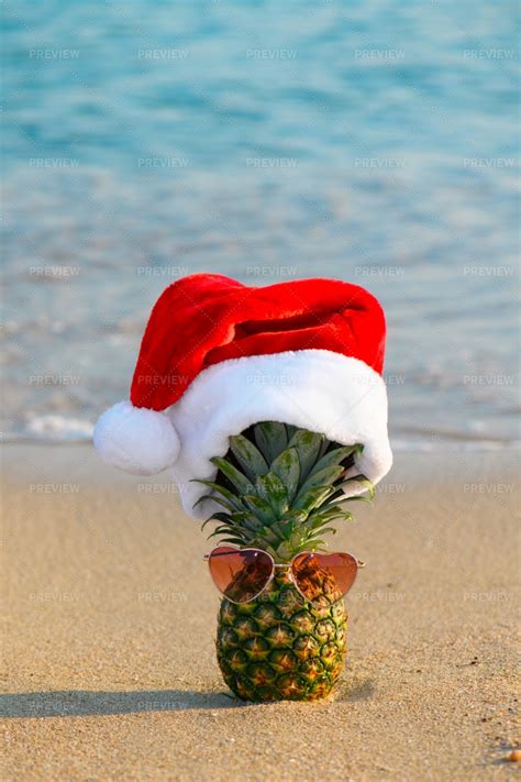 Santa Pineapple With Sunglasses Stock Photos Motion Array