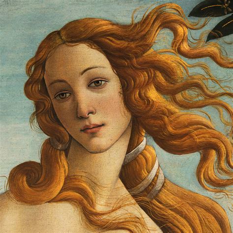 Venus Sandro Botticelli Illustration World History Encyclopedia
