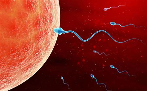 Hey, guys — here's why your sperm count is plummeting - study reveals